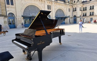 WhatsApp Image 2025-03-20 at 21.47.38