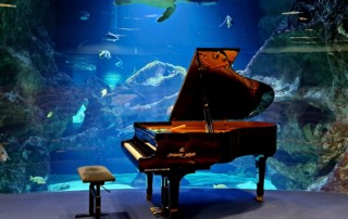 WhatsApp Image 2025-03-20 at 21.47.56