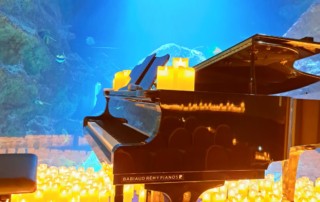 WhatsApp Image 2025-03-20 at 21.47.58 (2)