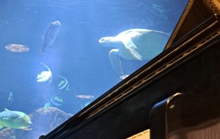 WhatsApp Image 2025-03-20 at 21.48.01