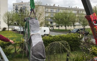 WhatsApp Image 2025-03-20 at 21.48.02 (1)