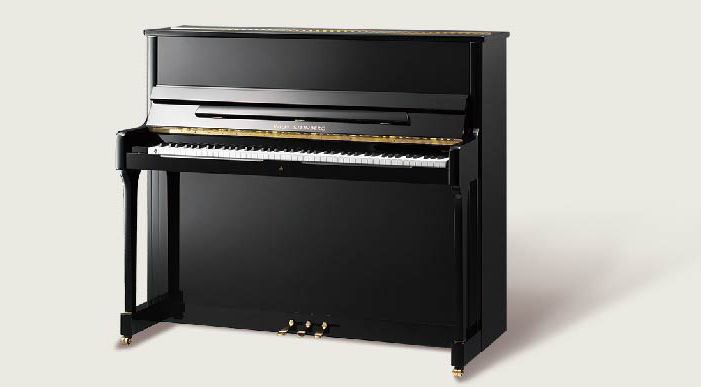 PIANO DROIT WILH STEINBERG P116 n°180047 - Occasion