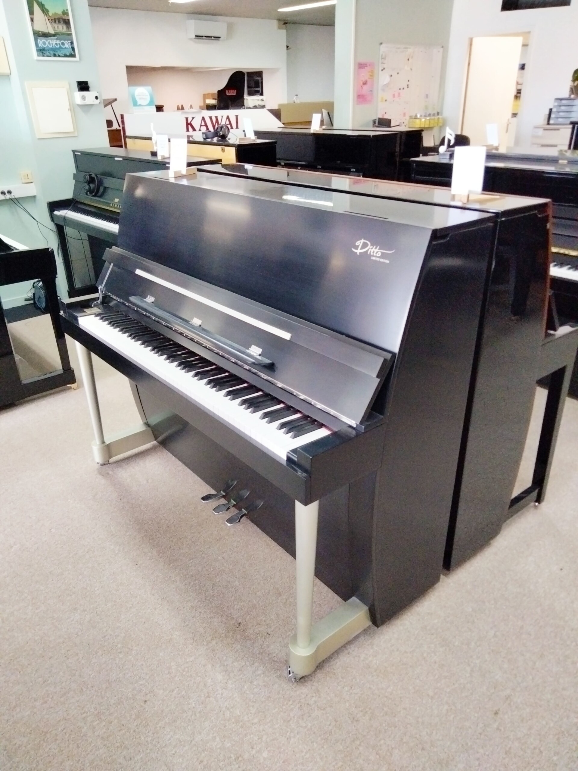 SAMICK "DITTO" - n° IKPLU 1339 - Occasion – Image 3