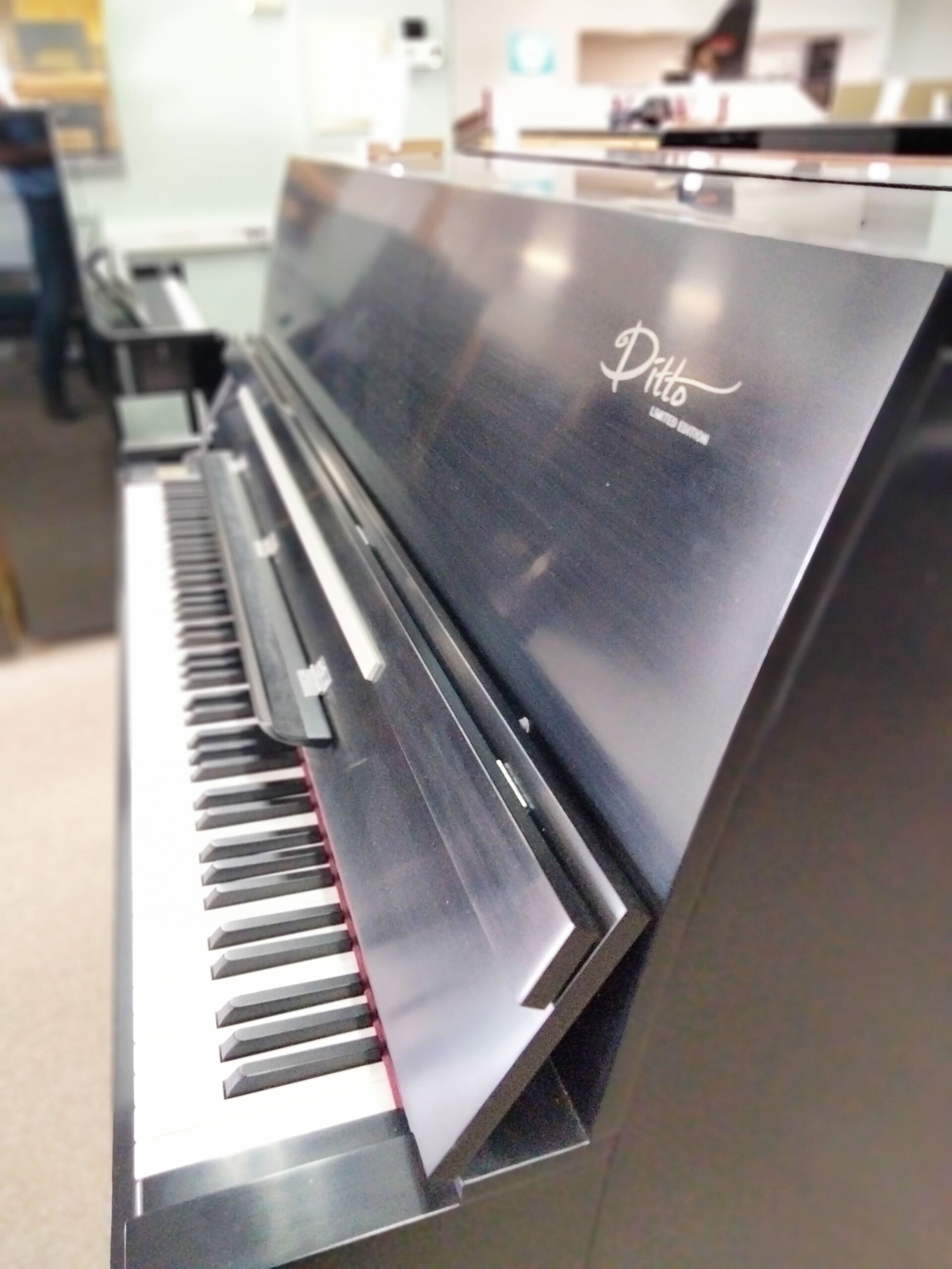 SAMICK "DITTO" - n° IKPLU 1339 - Occasion – Image 2