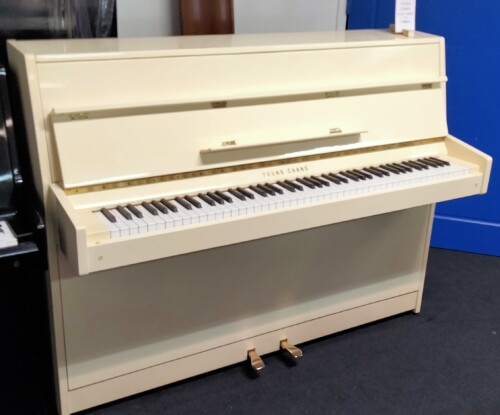 YOUNG CHANG EC 109 - IVOIRE