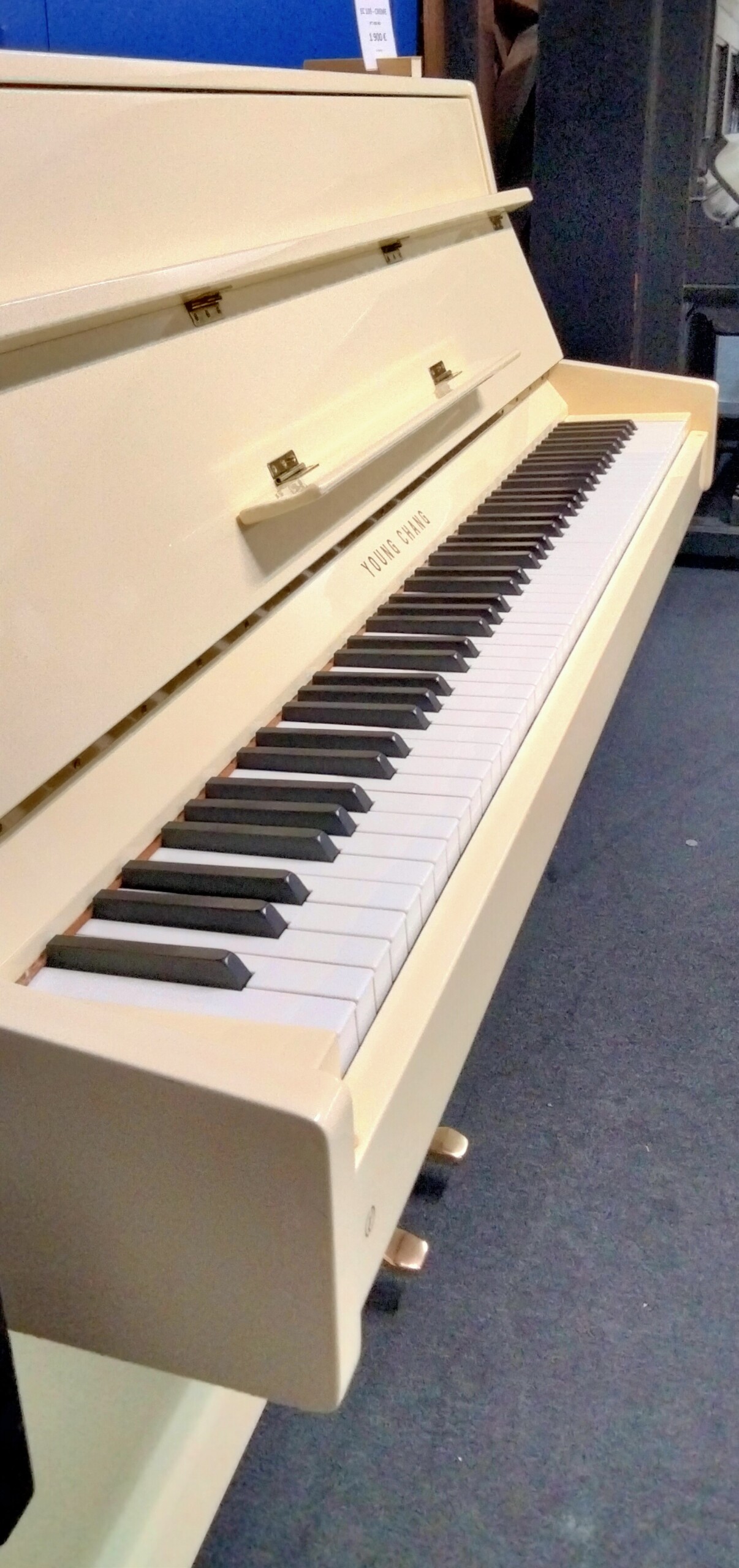 YOUNG CHANG EC 109 - IVOIRE – Image 2